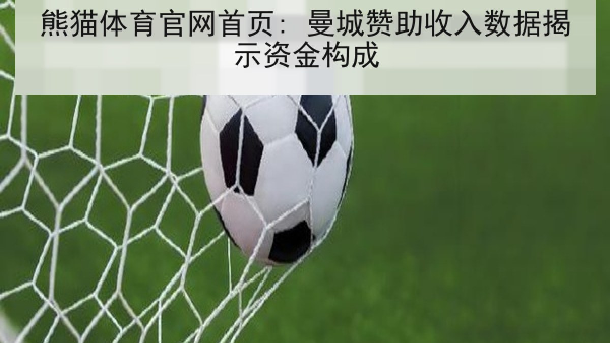熊猫体育官网首页: 曼城赞助收入数据揭示资金构成